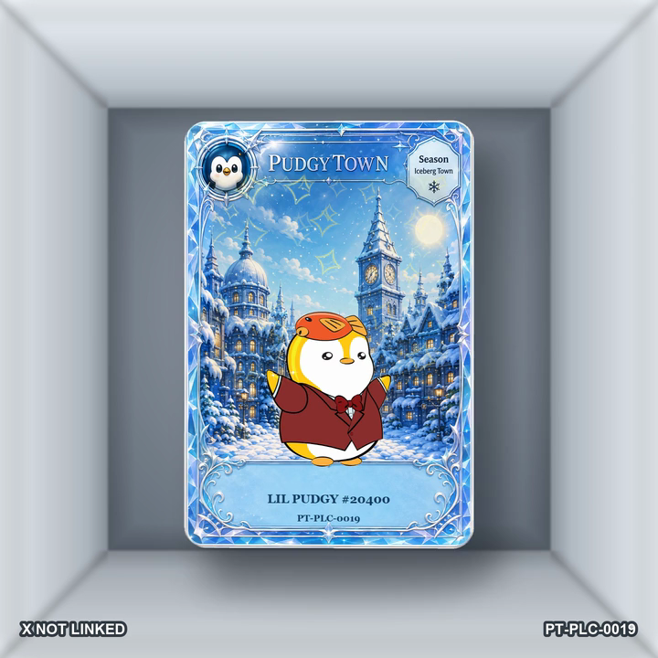 PT-PLC-0019 Card