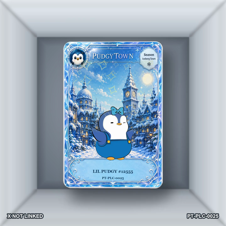 PT-PLC-0025 Card