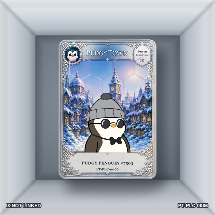 PT-PLC-0066 Card