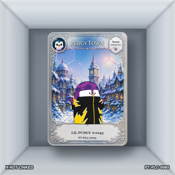 PT-PLC-0065 Card